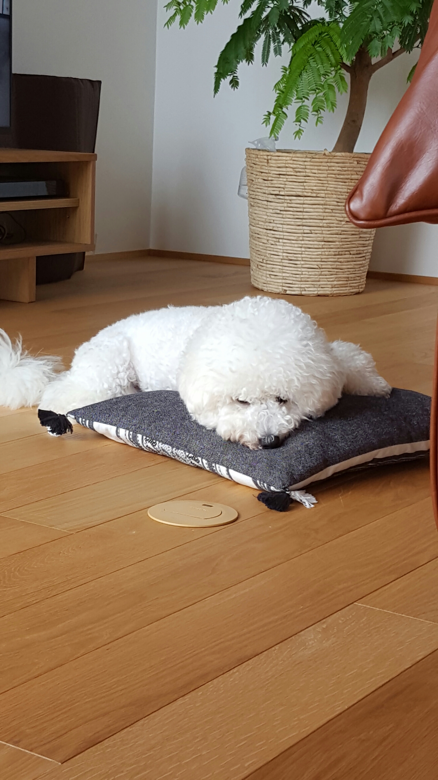 スタッフ紹介！